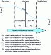 Figure 10 - Lewis and Whitman's double film model