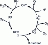 Figure 9 - Radical oxidation of organic substrates