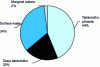 Figure 4 - Distribution of irrigated area by water source