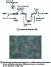 Figure 23 - Manufacture of isotropic microporous membranes by radiochemical perforation 