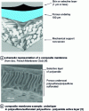 Figure 5 - Composite membranes 