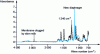 Figure 19 - Raw spectra of a new PES membrane and after clogging with skimmed milk 