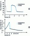 Figure 9 - Respirometric responses to identify a set of ASM1 model parameters. (a): nitrification, (b): heterotrophic activity  and 
