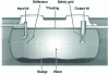 Figure 1 - Diagram of a 5 m3 all-water septic tank (taken from EPARCO documentation)