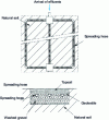 Figure 11 - Shallow spreading bed: plan view and cross-section