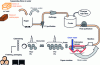 Figure 1 - Simplified papermaking process diagram