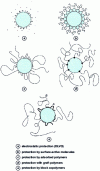 Figure 11 - Different colloidal protection processes