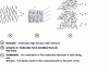 Figure 4 - Some classic liquid crystal structures