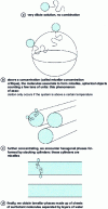 Figure 7 - Some structures formed by the association of surface-active molecules in water