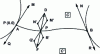 Figure 18 - Coons connection conditions