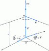 Figure 60 - Rotation of the tangent plane