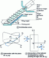 Figure 63 - Expandable helicoid: Archimedean screw