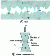 Figure 1 - Schematic macroscopic cross-section of sliding surfaces at contact