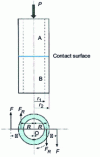 Figure 5 - Contact between the ends of two cylindrical tubes: Suzuki tribometer