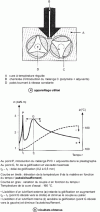 Figure 3 - Study of PVC lubrication using a plastograph