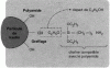 Figure 9 - Mechanism of action of a coupling agent