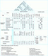 Figure 4 -  First matrix: "target specification" needs and competitive position