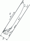 Figure 5 - Gas pocket rising in a stagnant liquid in an inclined tube