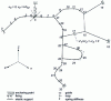 Figure 12 - Example of a computer-defined layout