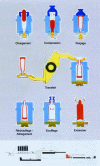 Figure 5 - Blow-mold forming principle (doc. Saint-Gobain Emballage)