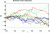 Figure 1 - Example of Brownian motion trajectories