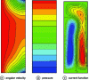 Figure 5 - Flow structure: Re = 10