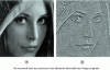 Figure 13 - Effect of replacing the modulus of the Fourier transform by a constant (b), with the phase of the original image (a) preserved.