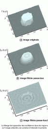 Figure 14 - Oscillations when low-pass filtering an image