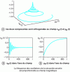 Figure 17 - Illustration of the return to equilibrium (Free Induction Decay ) in the direction of the fixed magnetic field of the magnetic moments after suppression of the radio excitation.