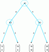 Figure 1 - Cournot-Stackelberg duopoly