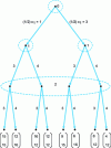 Figure 3 - Developed form of Cournot duopoly with asymmetric information