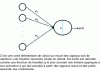 Figure 9 - A neuron