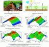 Figure 4 - Simulation study of the layout of a vineyard plot