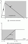 Figure 2 - Fundamental diagram in Eulerian and Lagrangian coordinates