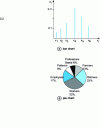 Figure 1 - Graphical representations of categorical variables