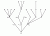 Figure 9 - Building a tree