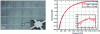 Figure 14 - Photo and transfer function of a square-mesh metal grid deposited on a polymer film