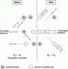 Figure 5 - Principle
of optical amplification: after stimulated emission the number of
photons of the same frequency present in the medium has increased