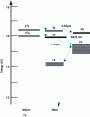 Figure 3 - Energy diagram of the helium-neon system