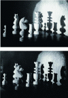 Figure 18 - Parallax: images rendered from the same hologram (doc. ISL)