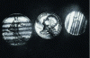 Figure 29 - Coins in motion during installation (doc. ISL)