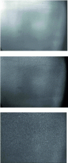 Figure 15 - Optical microscopy images...