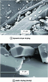 Figure 11 - Effect of Form B drying conditions on surface quality of solid particles