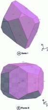 Figure 17 - Theoretical morphology of paracetamol forms I and II obtained using the attachment energy method and charges calculated by the charge balancing method