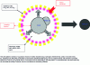 Figure 1 - Combustion phenomenology of an aluminum particle in a propellant atmosphere