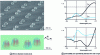 Figure 19 - Material by A.N. Grigorenko