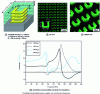 Figure 21 - Structure by N. Liu