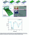 Figure 22 - Illustration of the procedure for manufacturing a plasmonic metasurface on a flexible support