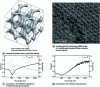 Figure 23 - Morphology of a gyroid material