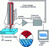 Figure 10 - Principle of the scanning tunneling microscope (courtesy of Michel Schmid, TU Vienna)